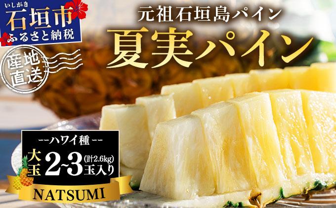【先行予約】夏実パイン（ハワイ種）大玉2～3個 計2.6kg《2026年7月下旬発送》【 産地直送 沖縄 石垣 フルーツ パイナップル パイン ハワイ 夏実パイン 】SI-47