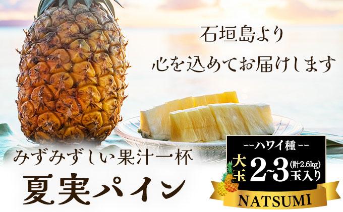 夏実パイン（ハワイ種）大玉2～3個 計2.6kg《2026年7月下旬発送》【 産地直送 沖縄 石垣 フルーツ パイナップル パイン ハワイ 夏実パイン 】SI-47