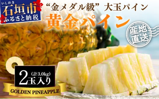 ＜先行予約＞ 石垣島産 黄金パイン 大玉 2玉 約3.0kg ＜2026年7月以降発送＞【 産地直送 沖縄 石垣 フルーツ パイナップル パイン 黄金パイン 】 SI-051