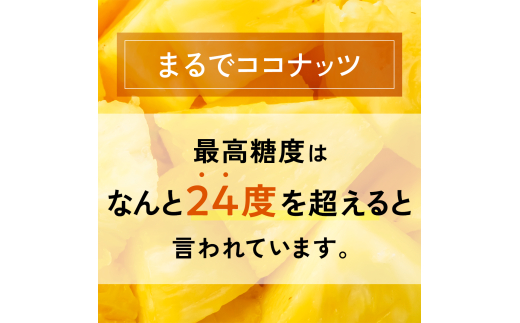 ＜先行予約＞ ホワイトココ パイン 2～3玉 計2～3kg ＜6月中旬より順次発送＞【 産地直送 沖縄 石垣 フルーツ パイナップル パイン ホワイトココ 】 SI-50