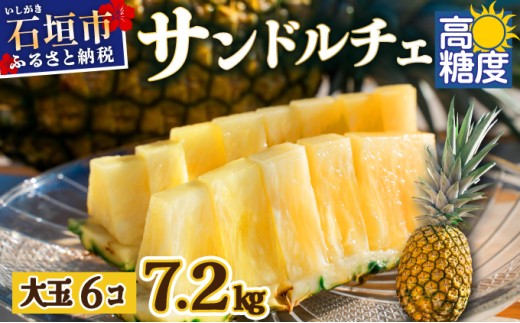【先行予約】《2025年夏季 順次発送》サンドルチェ大玉6個 計7.2kg【 産地直送 沖縄 石垣 フルーツ パイナップル パイン サンドルチェ 】SI-43