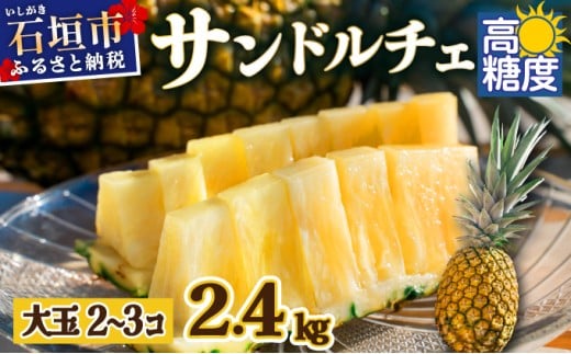 【先行予約】《2025年夏季 順次発送》サンドルチェ大玉2～3個 計2.4kg【 産地直送 沖縄 石垣 フルーツ パイナップル パイン サンドルチェ 】SI-41