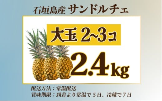 【先行予約】サンドルチェ大玉2～3個 計2.4kg 《2026年7月中旬以降発送》【 産地直送 沖縄 石垣 フルーツ パイナップル パイン サンドルチェ 】SI-41