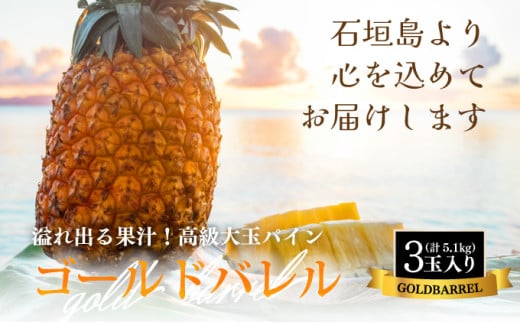 ïŒå
è¡äºçŽïŒ ç³å£å³¶ç£ ãŽãŒã«ããã¬ã«ãã€ã³ 倧ç3åå
¥ã çŽ5.1kg ïŒ2026幎7æä»¥éçºéïŒ | ç£å°çŽé æ²çž ç³å£ ãã«ãŒã ãã€ãããã« ãã€ã³ ãŽãŒã«ããã¬ã«ãã€ã³ SI-40