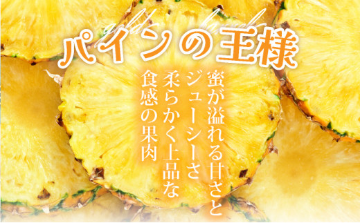 ＜先行予約＞ 石垣島産 ゴールドバレルパイン 大玉２個入り 約3.4kg ＜2026年7月以降発送＞ | 産地直送 沖縄 石垣 フルーツ パイナップル パイン ゴールドバレルパイン SI-39