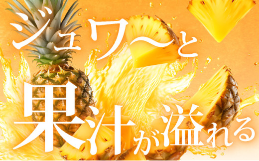 ＜先行予約＞ 石垣島産 ゴールドバレルパイン 大玉２個入り 約3.4kg ＜2026年7月以降発送＞ | 産地直送 沖縄 石垣 フルーツ パイナップル パイン ゴールドバレルパイン SI-39