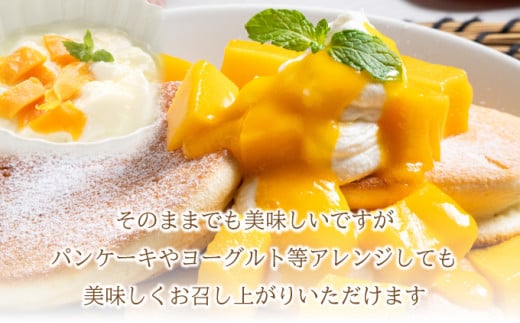 縲2026蟷エ6譛域忰縺九i鬆谺。逋コ騾√2Lス3L 繝槭Φ繧エ繝シ3ス6邇会シ育エ2kgシ 縲 逕」蝨ー逶エ騾 譌ャ 繝輔Ν繝シ繝 譁ー魄ョ 螳檎 繝槭Φ繧エ繝シ 遏ウ蝙」 豐也ク 縲銭P-25