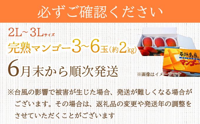 縲2026蟷エ6譛域忰縺九i鬆谺。逋コ騾√2Lス3L 繝槭Φ繧エ繝シ3ス6邇会シ育エ2kgシ 縲 逕」蝨ー逶エ騾 譌ャ 繝輔Ν繝シ繝 譁ー魄ョ 螳檎 繝槭Φ繧エ繝シ 遏ウ蝙」 豐也ク 縲銭P-25