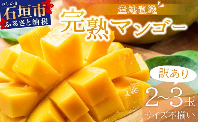 ïŒå
è¡äºçŽïŒãèš³ããããã³ãŽãŒ ãµã€ãºäžæã 2ïœ3ç (çŽ1kg) ïŒ2026幎7æäžæ¬ããçºéïŒ èš³ããå ãã³ãŽãŒ KP-26