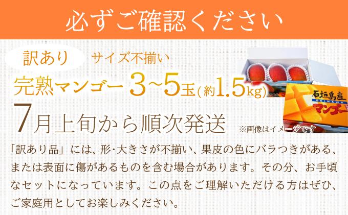 ＜先行予約＞【訳あり】マンゴー サイズ不揃い 3～5玉 (約1.5kg) ＜2026年7月上旬から発送＞ 訳あり品 マンゴー KP-27