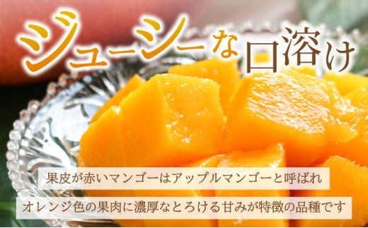 ＜先行予約＞【訳あり】マンゴー サイズ不揃い 3～5玉 (約1.5kg) ＜2026年7月上旬から発送＞ 訳あり品 マンゴー KP-27
