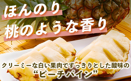 ãå
è¡äºçŽã ã2026幎5æäžæ¬é ããé æ¬¡çºéãç³å£å³¶ç£ ããŒããã€ã³ (6ç çŽ5ã)ã ç£å°çŽé æ²çž ç³å£ ãã€ãããã« ãã«ãŒã ã TP-12