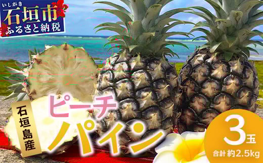 【先行予約】《2026年5月上旬頃より順次発送》石垣島産 ピーチパイン (3玉 約2.5㎏) 【 産地直送 沖縄 石垣 パイナップル フルーツ 】 TP-10