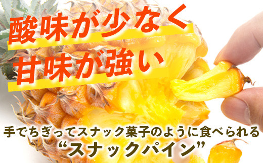 ãå
è¡äºçŽãã2026幎5æäžæ¬é ããé æ¬¡çºéãç³å£å³¶ç£ ã¹ããã¯ãã€ã³ (6ç çŽ6kg) ã ç£å°çŽé æ²çž ç³å£ ãã€ãããã« ãã€ã³ ã¹ãã㯠ãã«ãŒã ãããã«ã« ååœ ã TP-9-1