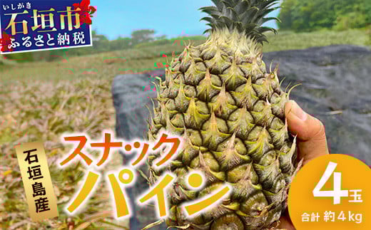 ＜期間限定 春フェア＞ 【先行予約】《2026年5月上旬頃より順次発送》石垣島産 スナックパイン (4玉 約4kg)【 産地直送 沖縄 石垣 パイナップル パイン スナック フルーツ トロピカル 南国 】 TP-8-1