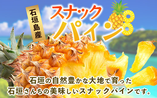 ãå
è¡äºçŽãã2026幎5æäžæ¬é ããé æ¬¡çºéãç³å£å³¶ç£ ã¹ããã¯ãã€ã³ (3ç çŽ3kg) ã ç£å°çŽé æ²çž ç³å£ ãã€ãããã« ãã€ã³ ã¹ãã㯠ãã«ãŒã ãããã«ã« ååœ ãTP-7-1