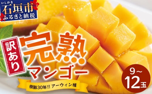 【訳あり】石垣島産 マンゴー (アーウィン種)  9～12玉(箱含め約5kg) 《樹齢30年の木で育ったマンゴー》｜産地直送 沖縄 石垣島 マンゴー  アーウィン マンゴー フルーツ TP-3