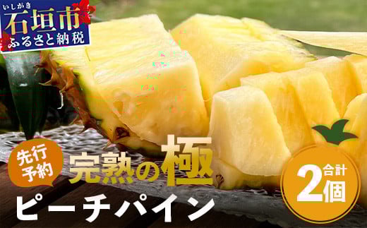 《2026年4月以降順次発送》最高糖度20度！？ 完熟の極 石垣島産パイナップル ピーチパイン2個セット【 沖縄 石垣島 石垣 八重山 パイン ピーチパイン 期間限定 数量限定 沖縄県 石垣島産 】TF-19-1_R8