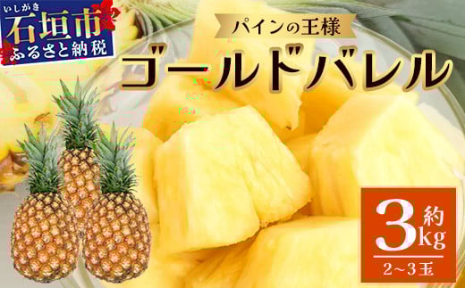 【先行予約】《2026年6月上旬より順次発送予定》 最高級パイン ゴールドバレル 2～3玉セット 【 沖縄 石垣 パイナップル パイン ゴールド バレル 高級 セット 】TD-1-1