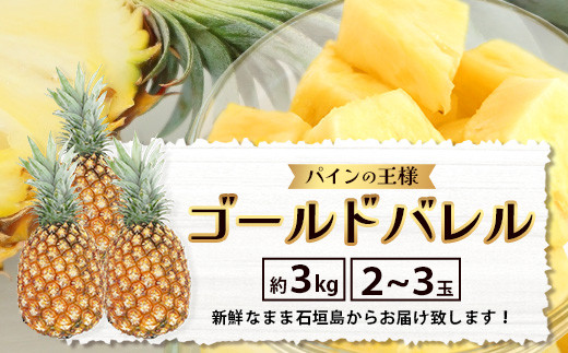 【先行予約】《2026年6月上旬より順次発送予定》 最高級パイン ゴールドバレル 2～3玉セット 【 沖縄 石垣 パイナップル パイン ゴールド バレル 高級 セット 】TD-1-1