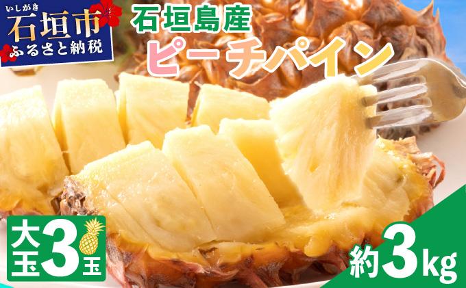 ＜先行予約＞石垣島産・大玉ピーチパイン 3玉 約3.0kg ＜2026年5月以降発送＞【 沖縄県石垣市 石垣島 フルーツ 果物 パイン パインアップル パイナップル 産地直送 】SI-037