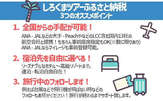 【石垣市】しろくまツアーで利用可能なWEB旅行クーポン (300,000円分)【 沖縄県 石垣市 石垣島 ツアー 紙券 クーポン 旅行券 クーポン券 旅行 宿泊 観光 旅 】WB-12
