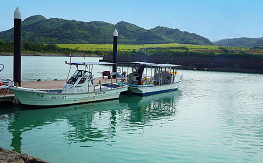 【オープンカーで満喫】レンタカー1日利用券 MAZDA ロードスター《Supremeレンタカー》【 沖縄 石垣 利用券 レンタカー ドライブ レンタル 】FG-11