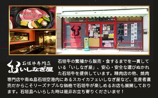 【訳あり】 石垣牛 焼肉用　(不揃い)　500g 【訳アリ 沖縄県 石垣島 石垣牛 国産 黒毛和牛 牛肉 牛 和牛 焼肉 BBQ 】AB-26
