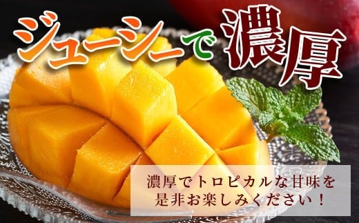 シサ莠育エ蜿嶺サ假シス鄒弱i蟋ォ繝槭Φ繧エ繝シ2kgシ亥ョ檎溘サ繧「繝シ繧ヲ繧」繝ウ遞ョシ俄岡2026蟷エ7譛井クュ譌ャス樣谺。逋コ騾≫沖縲 逕」蝨ー逶エ騾 豐也ク逵 遏ウ蝙」蟶 繝槭Φ繧エ繝シ 繝輔Ν繝シ繝 譫懃黄 蜊怜嵜 遏ウ蝙」蟲カ 縲舛B-2