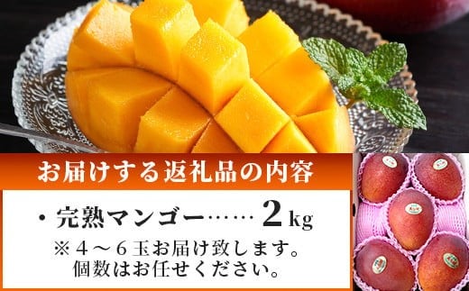 シサ莠育エ蜿嶺サ假シス鄒弱i蟋ォ繝槭Φ繧エ繝シ2kgシ亥ョ檎溘サ繧「繝シ繧ヲ繧」繝ウ遞ョシ俄岡2026蟷エ7譛井クュ譌ャス樣谺。逋コ騾≫沖縲 逕」蝨ー逶エ騾 豐也ク逵 遏ウ蝙」蟶 繝槭Φ繧エ繝シ 繝輔Ν繝シ繝 譫懃黄 蜊怜嵜 遏ウ蝙」蟲カ 縲舛B-2