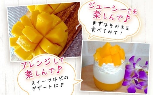 シサ莠育エ蜿嶺サ假シス鄒弱i蟋ォ繝槭Φ繧エ繝シ2kgシ亥ョ檎溘サ繧「繝シ繧ヲ繧」繝ウ遞ョシ俄岡2026蟷エ7譛井クュ譌ャス樣谺。逋コ騾≫沖縲 逕」蝨ー逶エ騾 豐也ク逵 遏ウ蝙」蟶 繝槭Φ繧エ繝シ 繝輔Ν繝シ繝 譫懃黄 蜊怜嵜 遏ウ蝙」蟲カ 縲舛B-2