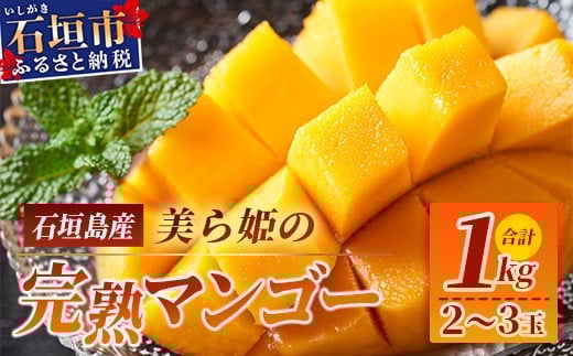 ［予約受付］美ら姫マンゴー1kg（完熟・アーウィン種）≪2026年7月中旬～順次発送≫【 産地直送 沖縄県 石垣市 マンゴー フルーツ 果物 南国 石垣島 】CB-1