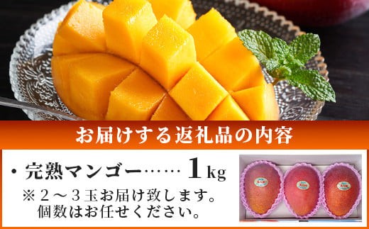 ［予約受付］美ら姫マンゴー1kg（完熟・アーウィン種）≪2026年7月中旬～順次発送≫【 産地直送 沖縄県 石垣市 マンゴー フルーツ 果物 南国 石垣島 】CB-1
