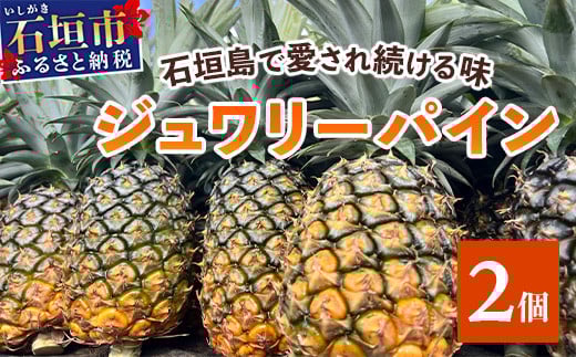 【予約受付】《2026年5月下旬～7月中旬発送》最高糖度18度！？ 完熟の極 石垣島産ジュワリーパイン 【 沖縄県 石垣市 石垣島 完熟 パイン パイナップル ジュワリー 予約受付 】TF-16-1_R8