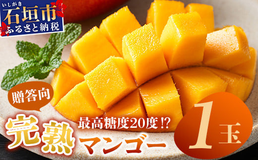 《2026年6月下旬～7月下旬発送》【先行予約】最高糖度20度！？ 完熟の極！3Lサイズ 石垣島マンゴー 1玉入り約400g【贈答向け】【 産地直送 完熟マンゴー アーウィン マンゴー 沖縄 八重山 石垣島産 】TF-11-1_R8