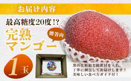 《2026年6月下旬～7月下旬発送》【先行予約】最高糖度20度！？ 完熟の極！3Lサイズ 石垣島マンゴー 1玉入り約400g【贈答向け】【 産地直送 完熟マンゴー アーウィン マンゴー 沖縄 八重山 石垣島産 】TF-11-1_R8
