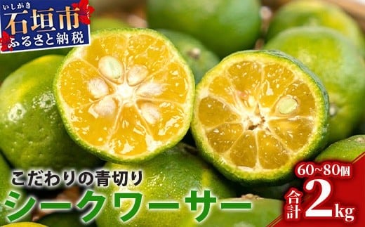 【先行予約】≪2026年8月以降順次発送≫こだわりの青切りシークワーサー 2kg 約60～80個 【 産地直送 沖縄 石垣島 石垣 八重山 シークワーサー 柑橘 フルーツ くだもの 果物 】TF-008