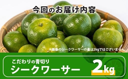 【先行予約】≪2026年8月以降順次発送≫こだわりの青切りシークワーサー 2kg 約60～80個 【 産地直送 沖縄 石垣島 石垣 八重山 シークワーサー 柑橘 フルーツ くだもの 果物 】TF-008