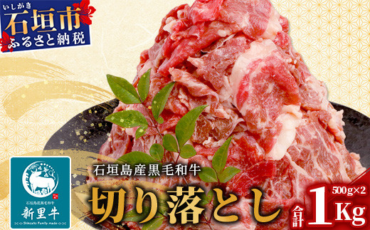 遏ウ蝙」蟲カ逕」 鮟呈ッ帛柱迚 譁ー驥檎央 螟夂畑騾疲栢鄒、シ 蛻關ス縺 (500gテ2) 蜷郁ィ1kg SZ-12