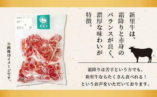 遏ウ蝙」蟲カ逕」 鮟呈ッ帛柱迚 譁ー驥檎央 螟夂畑騾疲栢鄒、シ 蛻關ス縺 (500gテ2) 蜷郁ィ1kg SZ-12