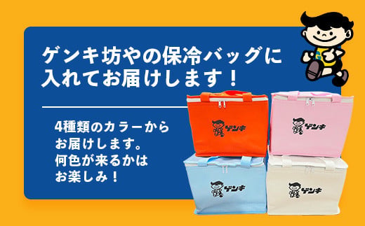 ゲンキプリン 6個 【プレーン 八重山ゲンキ乳業 お土産 観光 ゲンキくん ゲンキみるく 石垣島の牛乳屋さんのプリン】OP-1【島外不出のゲンキくん製品が返礼品に!!】【大人気の「ゲンキくん保冷バッグ」もお届け】