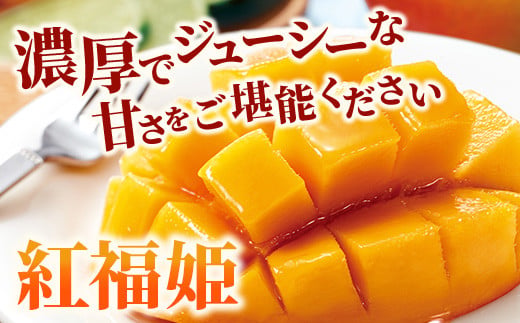 【2026年発送 先行予約】「紅福姫ブランド」石垣島のマンゴー 約2kg 【沖縄県 石垣市 産地直送 旬 石垣島産 マンゴー 完熟マンゴー アーウィン種マンゴー】OT-05