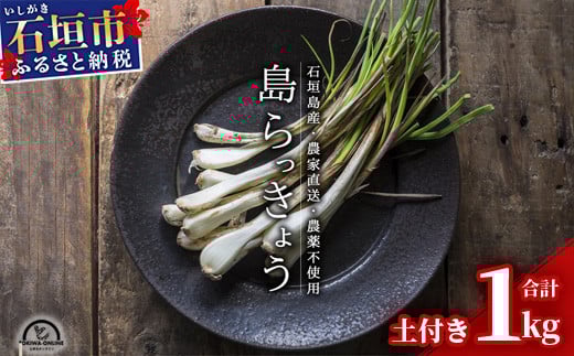 【先行受付】島らっきょう 生 土付き １kg《2026年2月上旬～3月下旬発送予定》沖縄 石垣島 農家直送【野菜 らっきょう 島らっきょう おつまみ 採れたて 漬物 天ぷら】TK-7