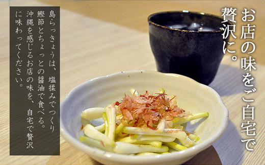 【先行受付】島らっきょう 生 土付き １kg《2026年2月上旬～3月下旬発送予定》沖縄 石垣島 農家直送【野菜 らっきょう 島らっきょう おつまみ 採れたて 漬物 天ぷら】TK-7