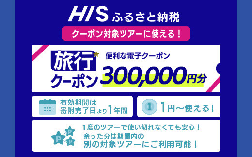 HIS縺ョ豐也ク逵檎浹蝙」蟶ゅョ蟇セ雎。繝繧「繝シ縺ォ菴ソ縺医k縺オ繧九&縺ィ邏咲ィ弱け繝シ繝昴Φ蛻ク300,000蜀蛻縲 豐也ク逵檎浹蝙」蟶 遏ウ蝙」蟶 遏ウ蝙」蟲カ 繝繧「繝シ HIS 繧ッ繝シ繝昴Φ 蛻ク 300000 縲践S-6