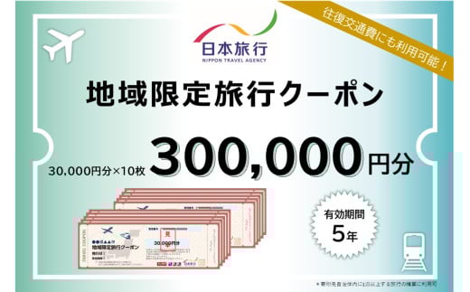 沖縄県石垣市　地域限定旅行クーポン300,000円分【 日本旅行 トラベルクーポン 納税チケット 旅行 宿泊券 ホテル 観光 旅行 旅行券 交通費 体験 宿泊 夏休み 冬休み 家族旅行 ひとり旅 カップル 夫婦 親子 石垣島旅行 】NR-5