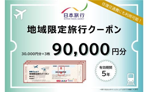 沖縄県石垣市　地域限定旅行クーポン90,000円分【 日本旅行 トラベルクーポン 納税チケット 旅行 宿泊券 ホテル 観光 旅行 旅行券 交通費 体験 宿泊 夏休み 冬休み 家族旅行 ひとり旅 カップル 夫婦 親子 石垣島旅行 】NR-3