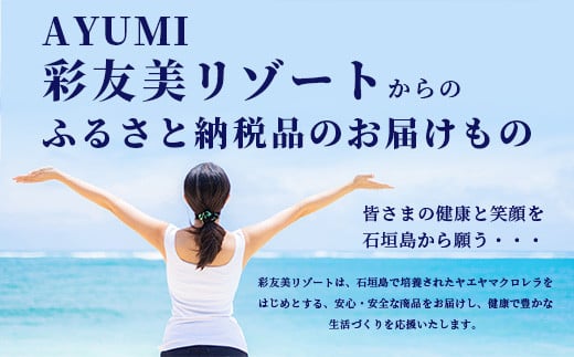 石垣島産ヤエヤマクロレラ粉末（1kg）AR-3【ヤエヤマクロレラ 健康 美容   石垣島産】