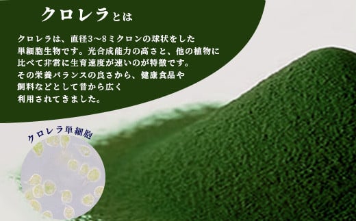 石垣島産ヤエヤマクロレラ粉末（1kg）AR-3【ヤエヤマクロレラ 健康 美容   石垣島産】
