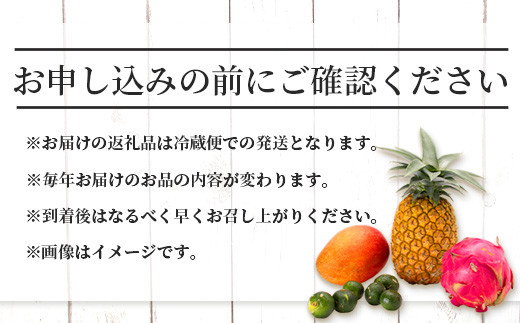 《2026年夏に順次発送予定》石垣島の夏「果物」詰め合わせ～夏のタカラモノ果物便～【 産地直送 沖縄 石垣 石垣島 くだもの トロピカルフルーツ 果物 南国 フルーツ 詰め合わせ フルーツ便 】SH-5